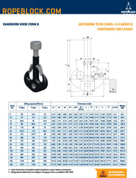 double-hooks-with-shackle-hole